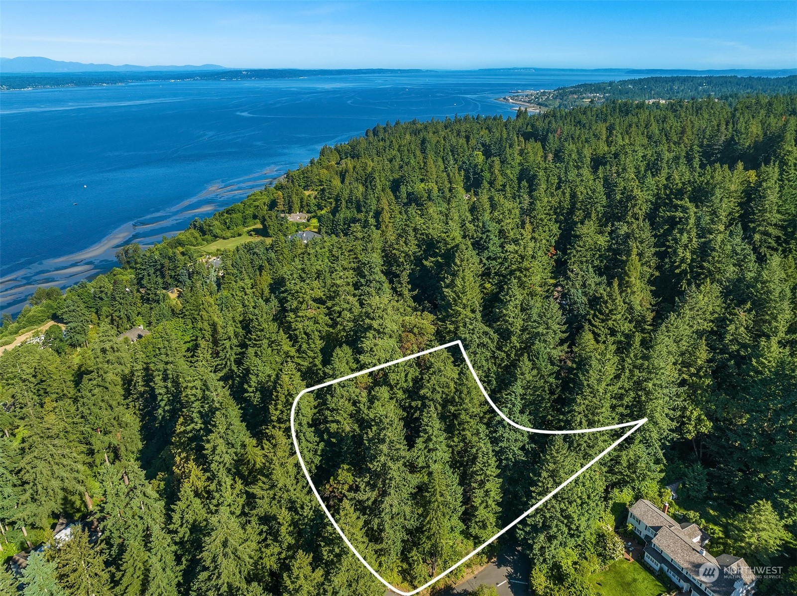 62 Madrona Lane Shoreline, WA 98177 - Photo 4 of 22 a view of a floor with wooden floor and a forest