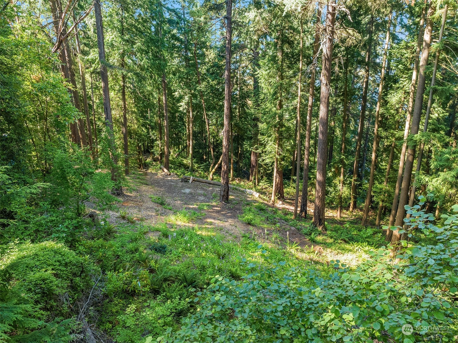 62 Madrona Lane Shoreline, WA 98177 - Photo 6 of 22 a view of outdoor space and green space