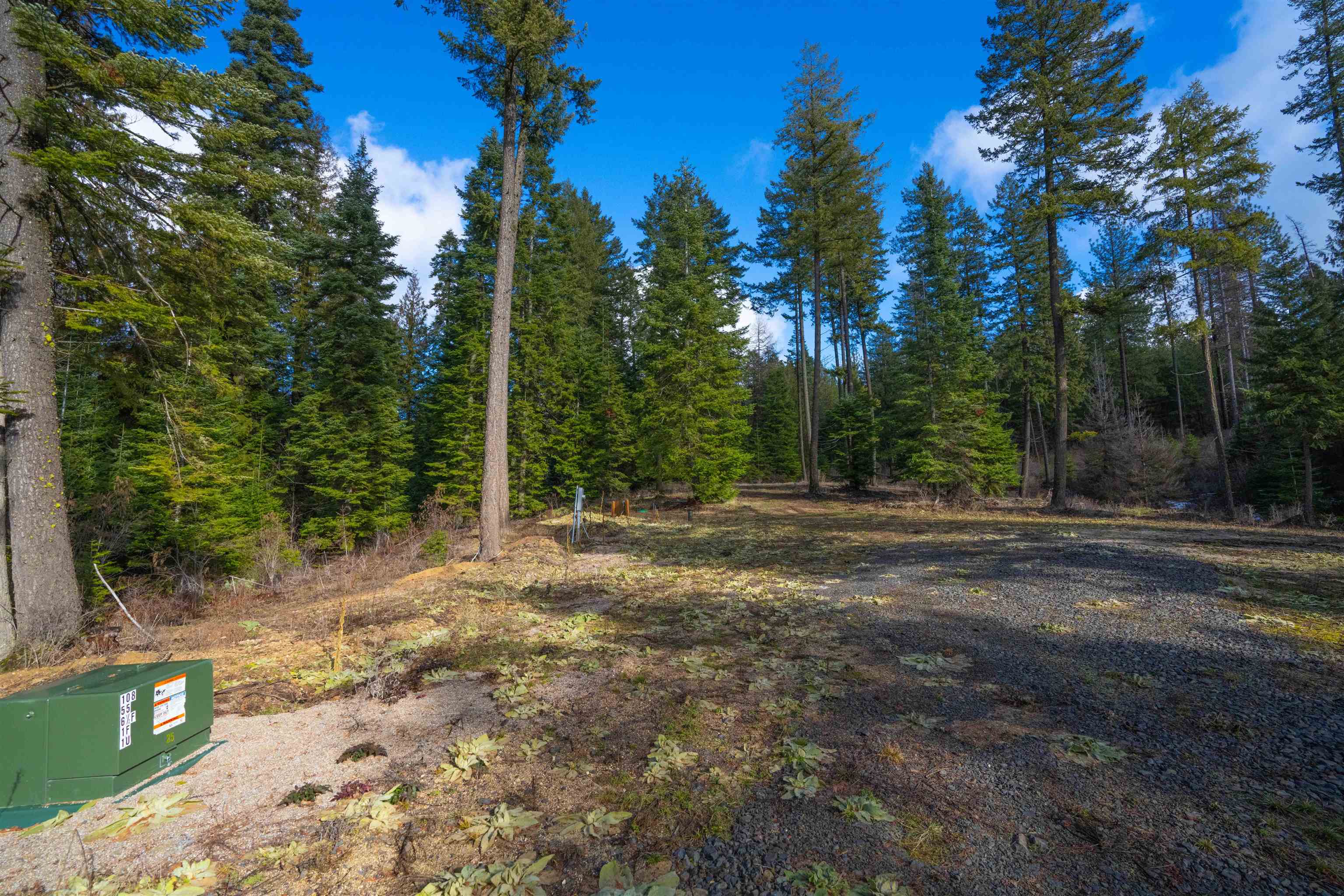 17000 North Jackson Road Chattaroy, WA 99003 - Photo 12 of 42