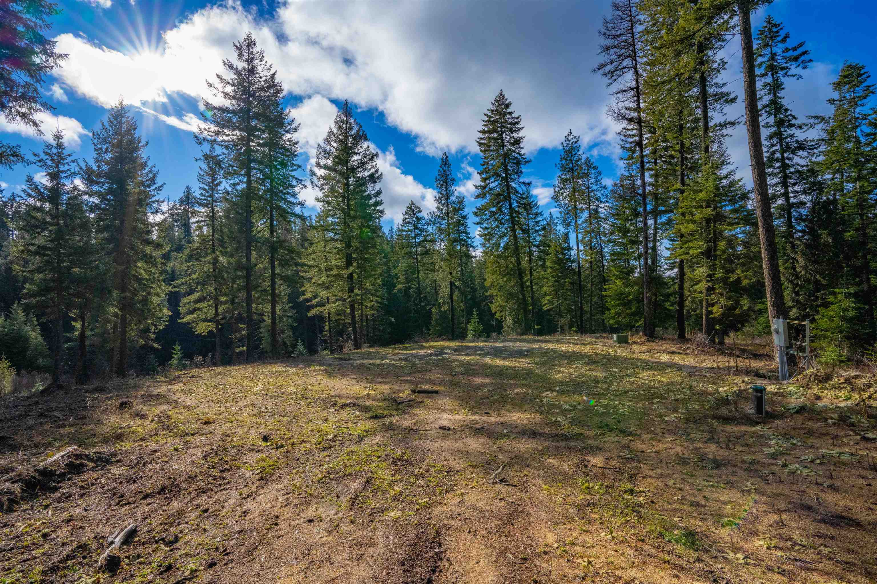 17000 North Jackson Road Chattaroy, WA 99003 - Photo 14 of 42