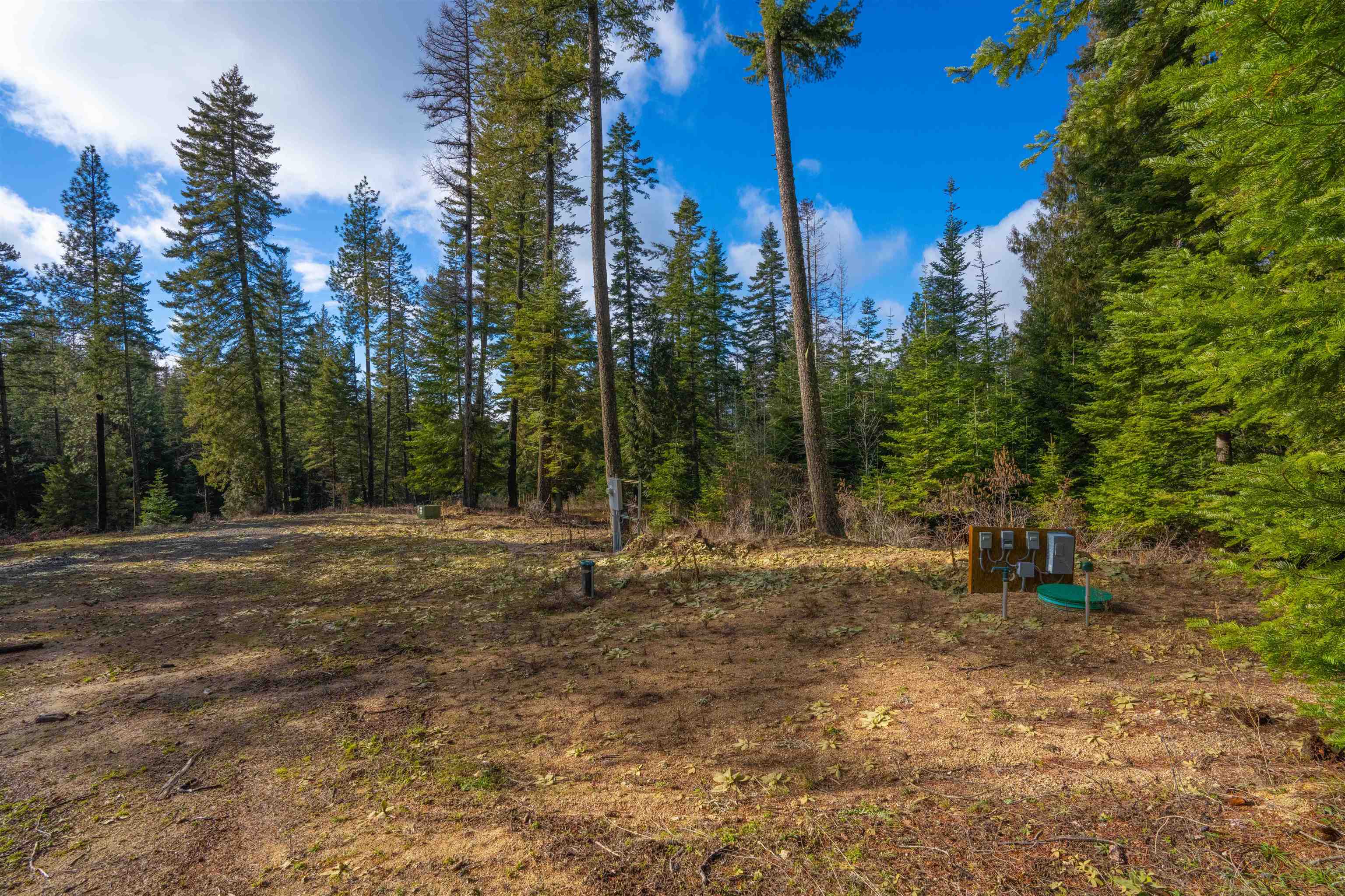 17000 North Jackson Road Chattaroy, WA 99003 - Photo 15 of 42