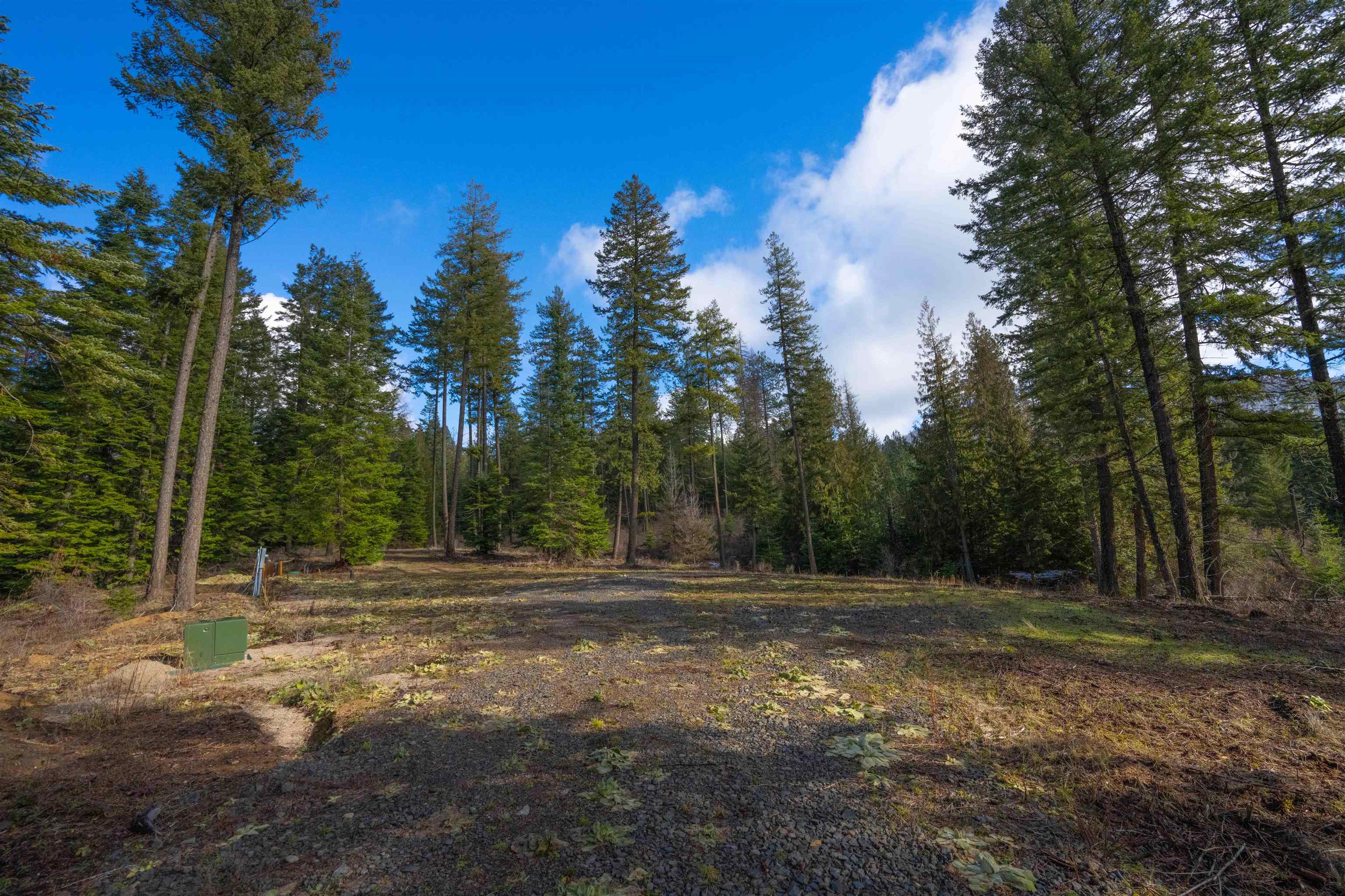 17000 North Jackson Road Chattaroy, WA 99003 - Photo 16 of 42