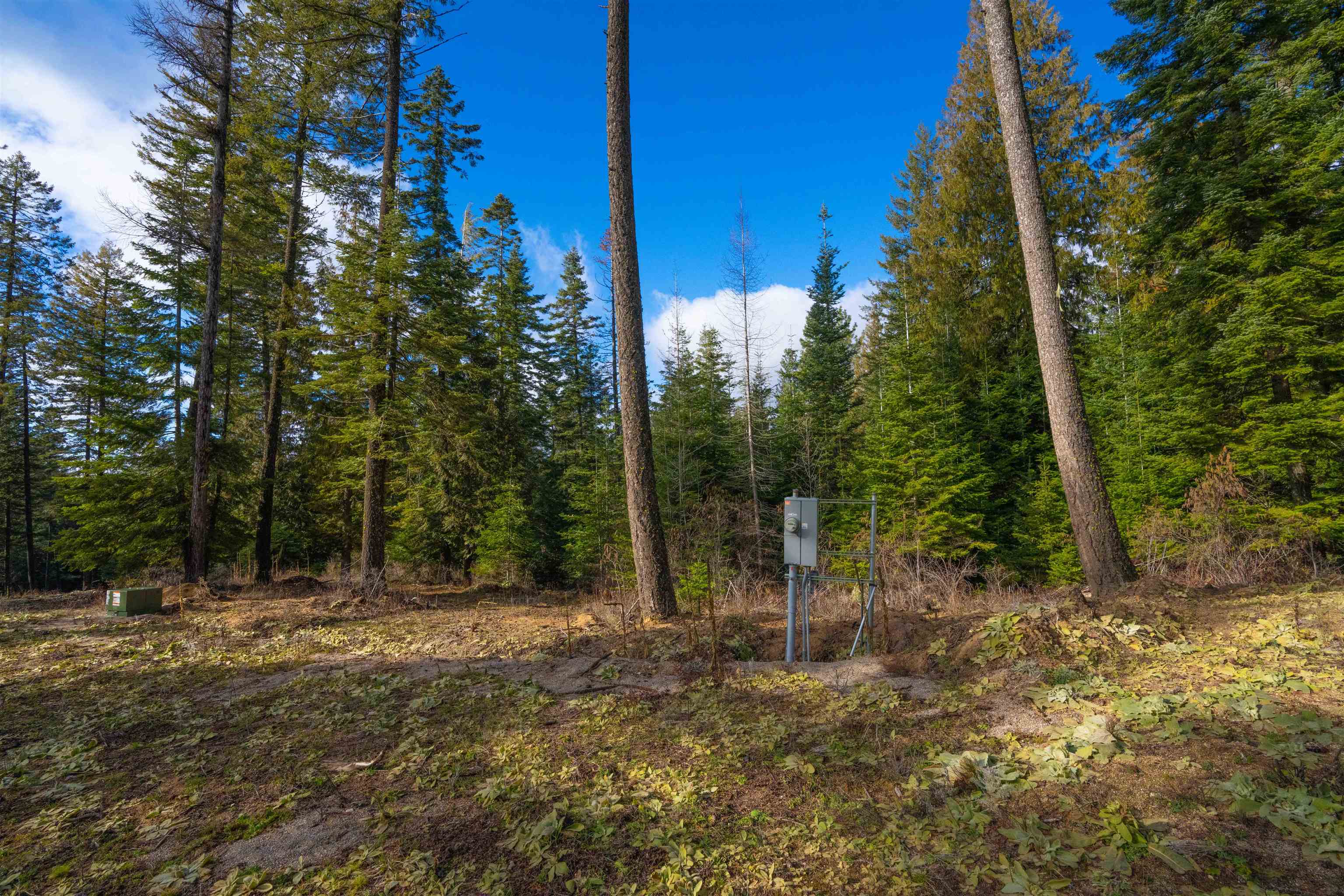17000 North Jackson Road Chattaroy, WA 99003 - Photo 19 of 42