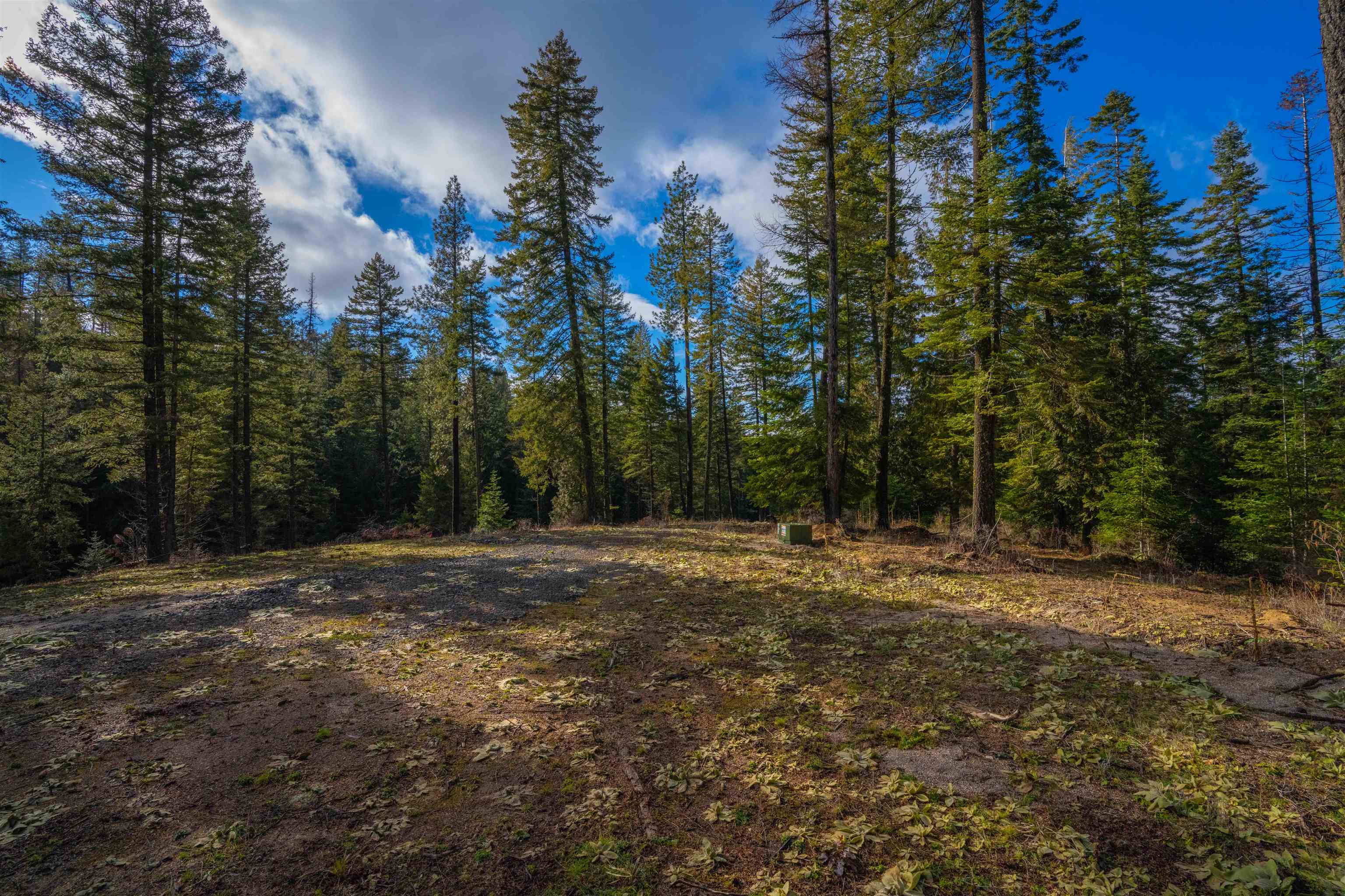 17000 North Jackson Road Chattaroy, WA 99003 - Photo 20 of 42