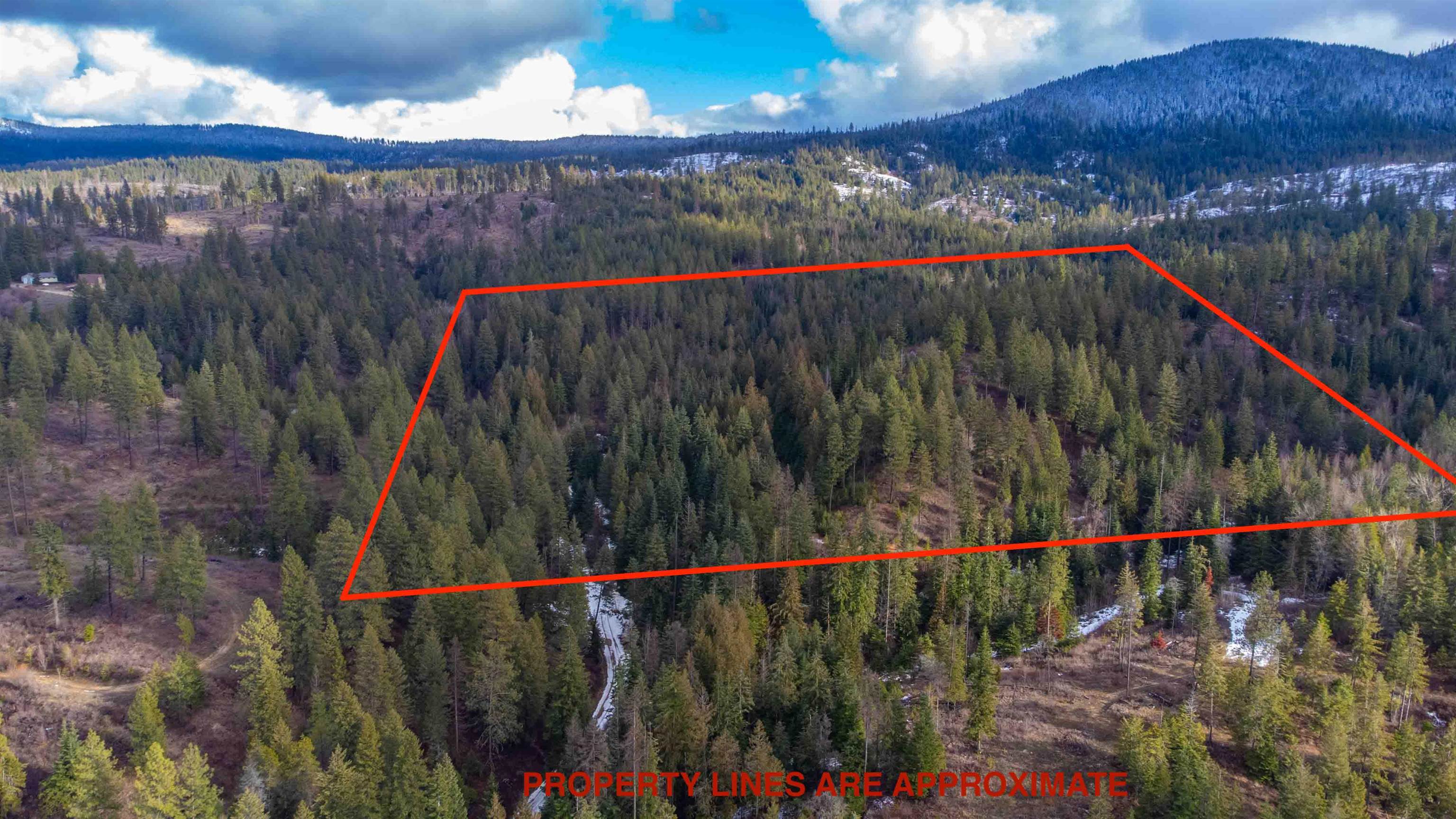 17000 North Jackson Road Chattaroy, WA 99003 - Photo 2 of 42