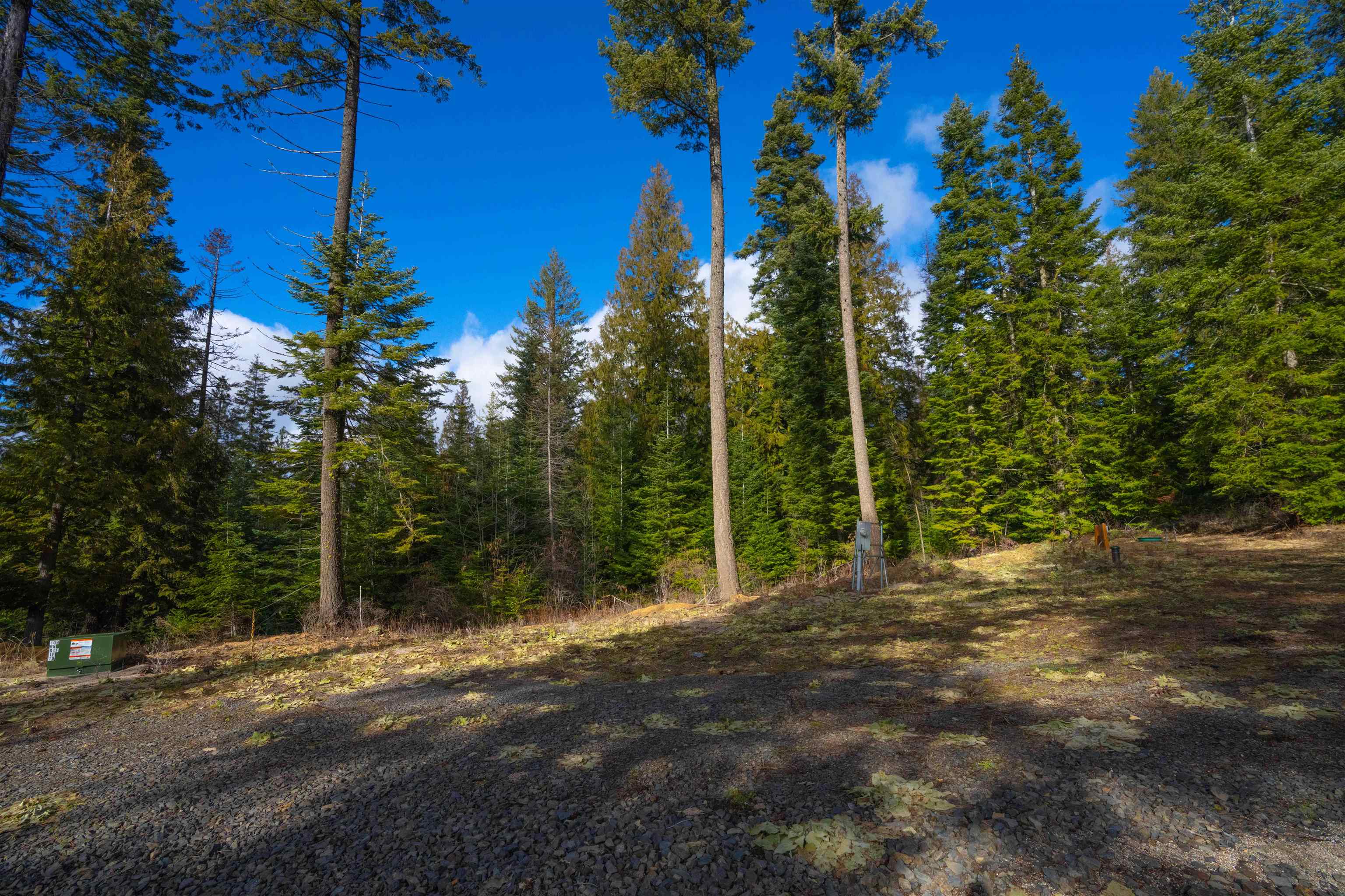 17000 North Jackson Road Chattaroy, WA 99003 - Photo 21 of 42