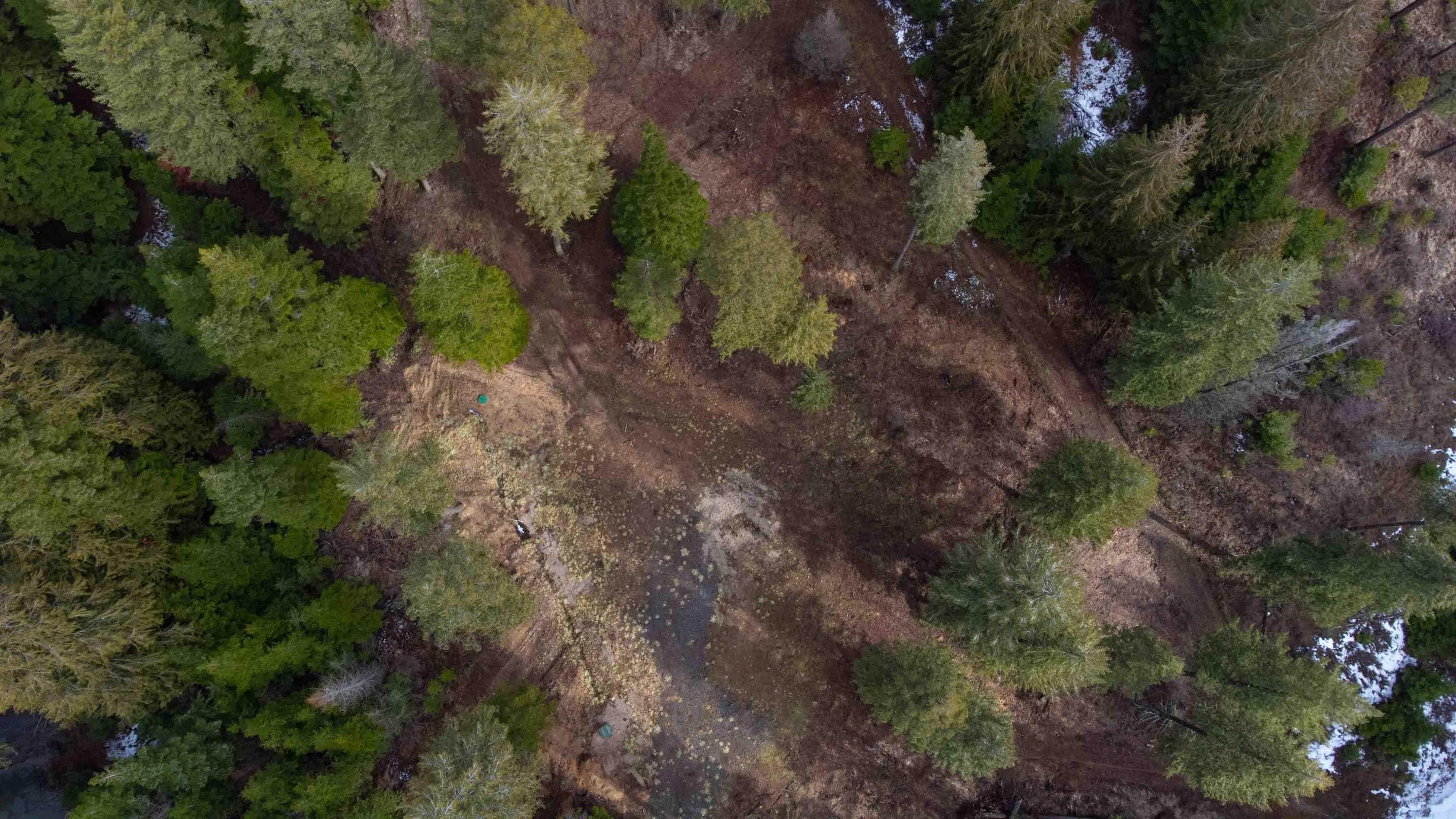 17000 North Jackson Road Chattaroy, WA 99003 - Photo 24 of 42