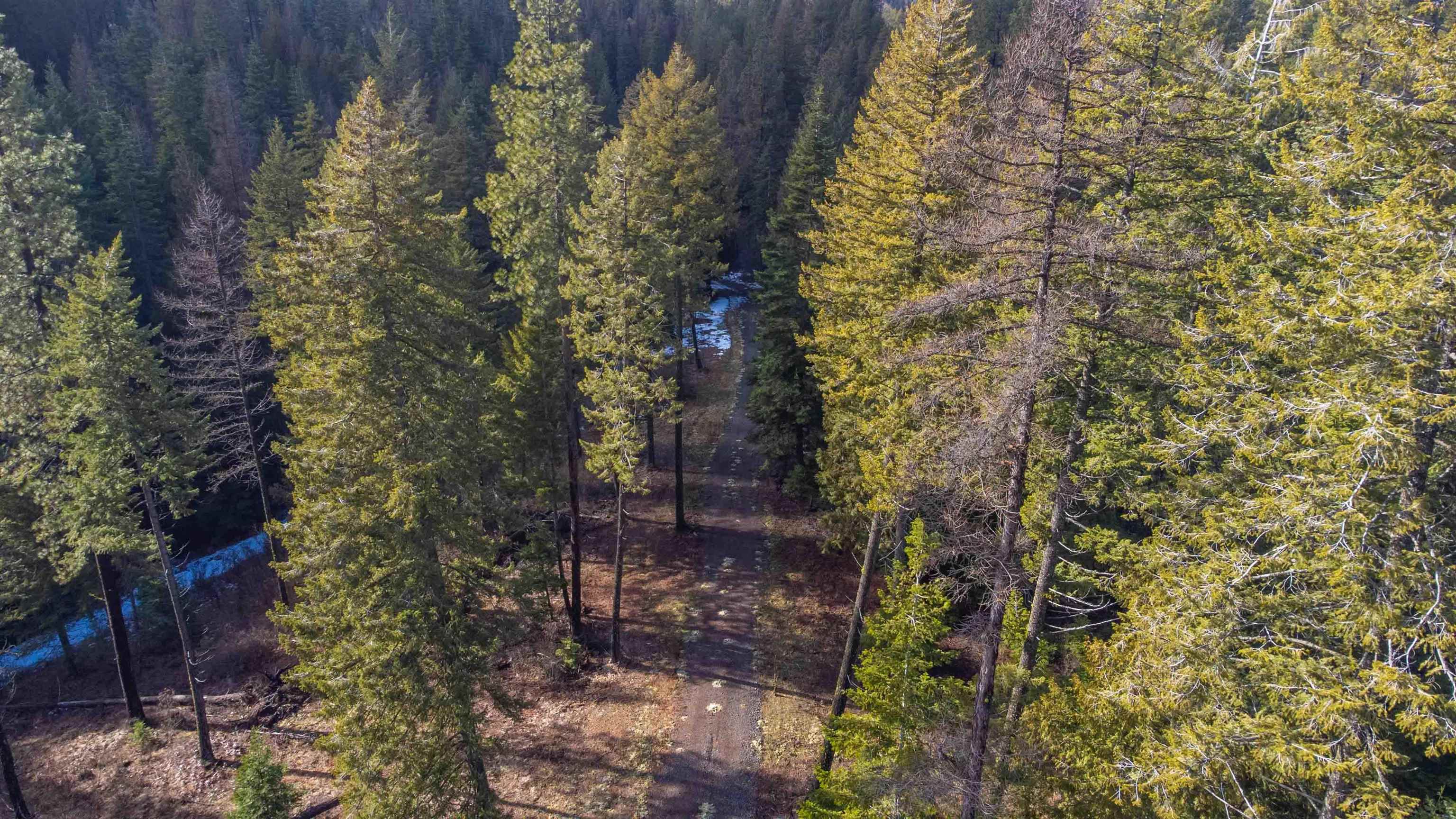 17000 North Jackson Road Chattaroy, WA 99003 - Photo 30 of 42