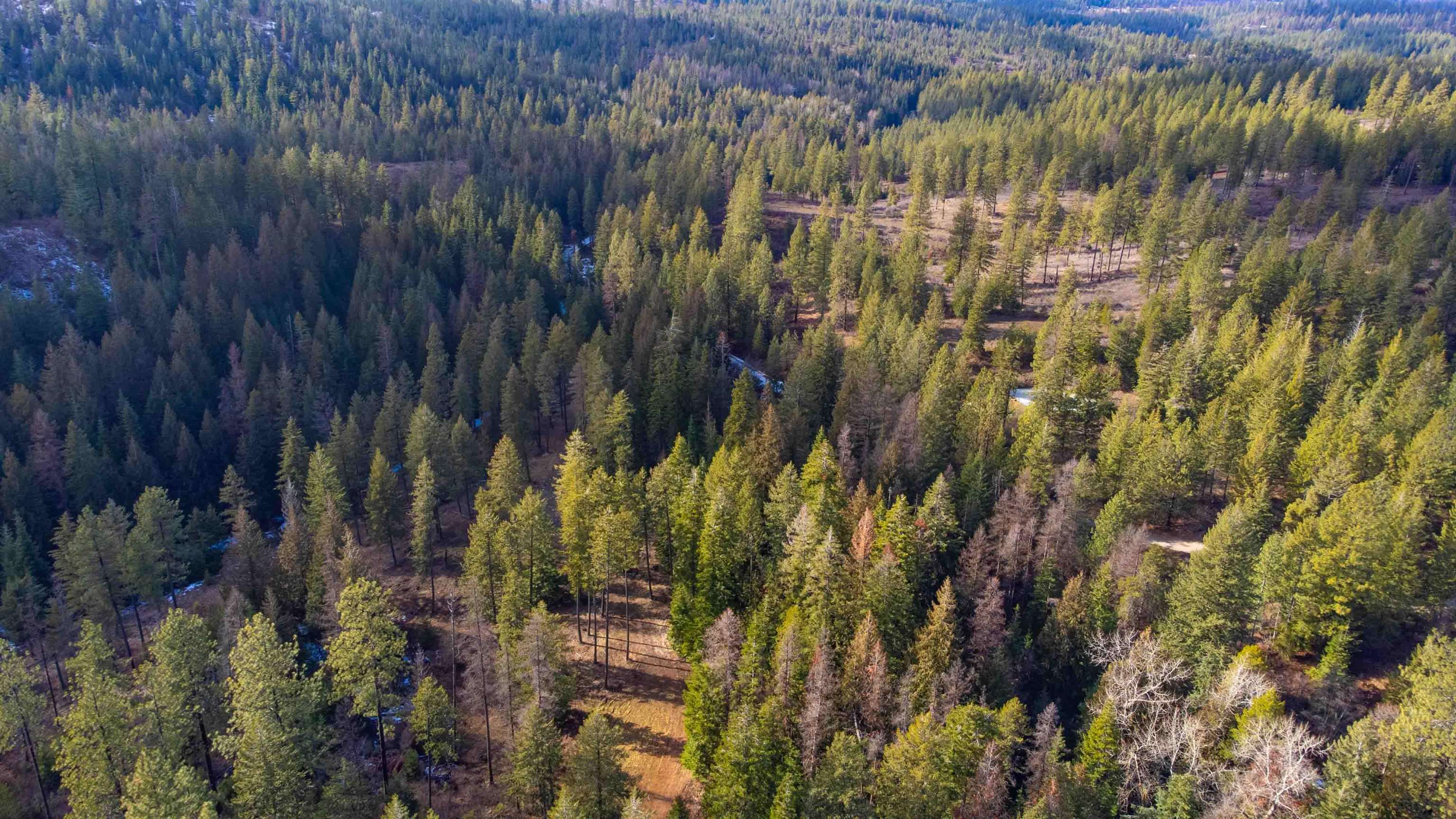 17000 North Jackson Road Chattaroy, WA 99003 - Photo 31 of 42