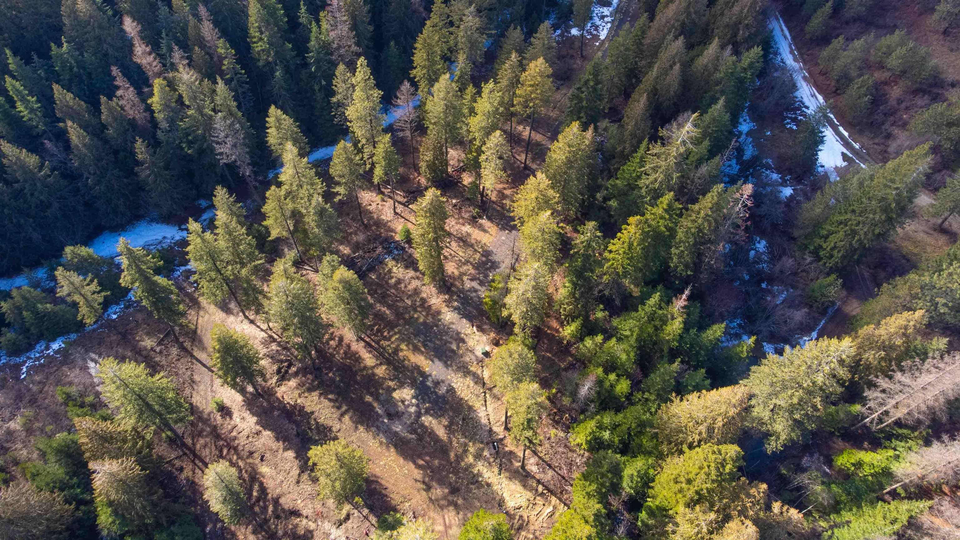 17000 North Jackson Road Chattaroy, WA 99003 - Photo 32 of 42