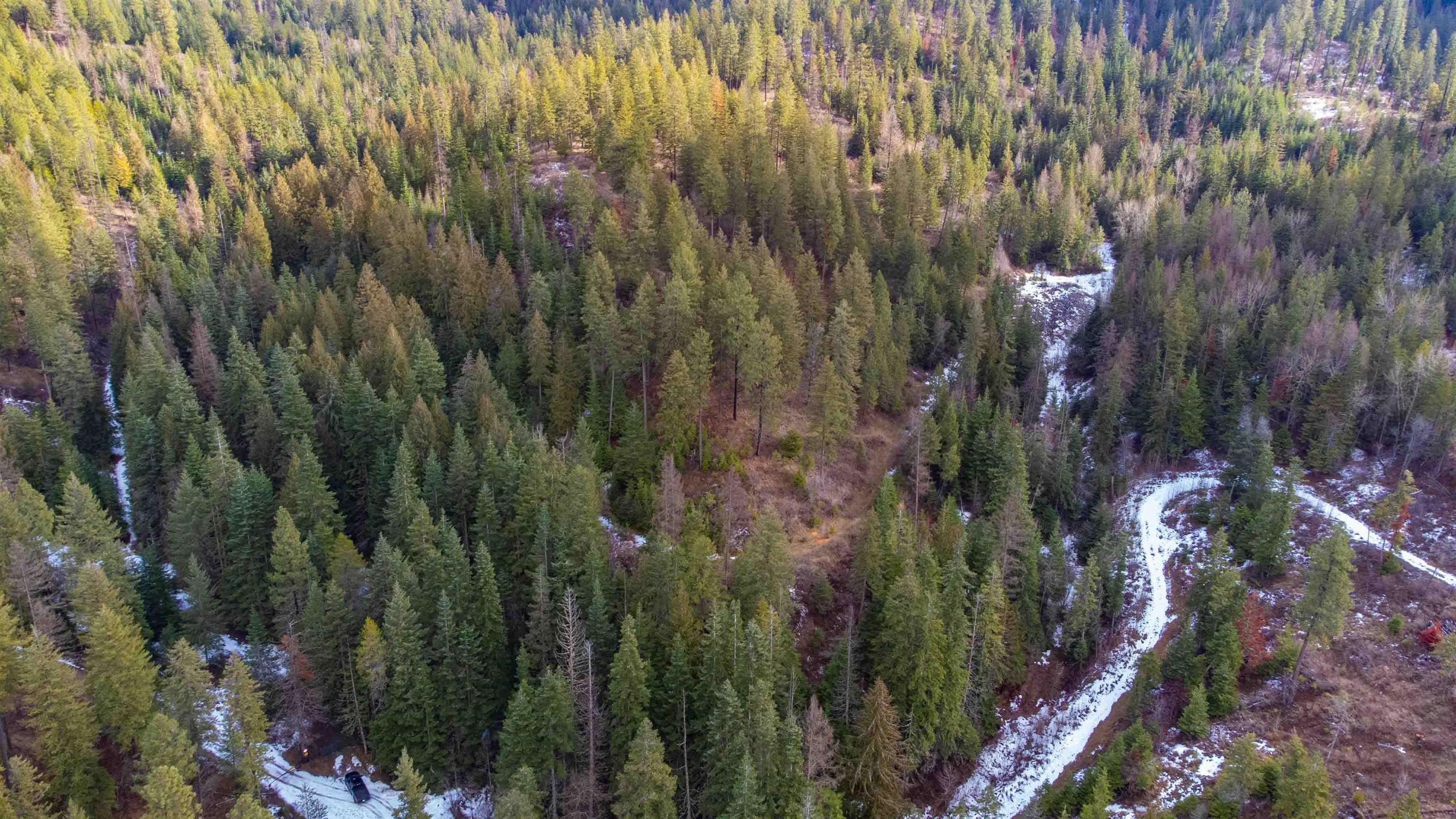 17000 North Jackson Road Chattaroy, WA 99003 - Photo 36 of 42