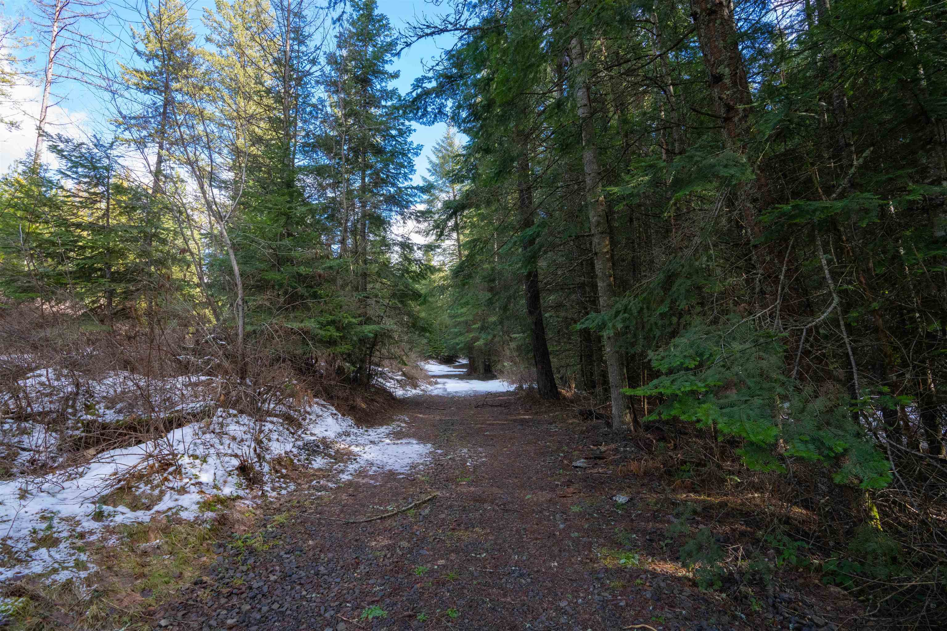 17000 North Jackson Road Chattaroy, WA 99003 - Photo 5 of 42