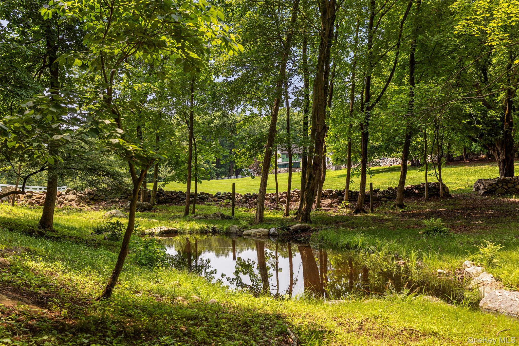 310 Mt Holly Road, Unit A Katonah, NY 10536 - Photo 27 of 33 a view of yard with swimming pool and trees