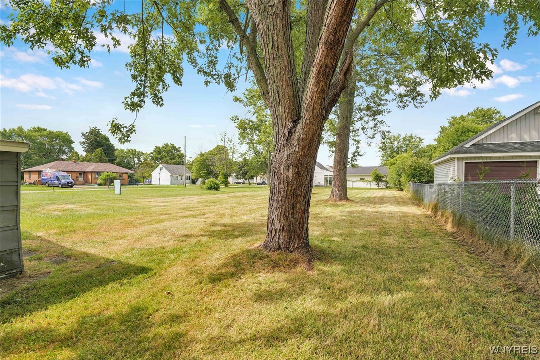 224 Cayuga Road Cheektowaga, NY 14225 - Photo 5 of 28 Back Lawn