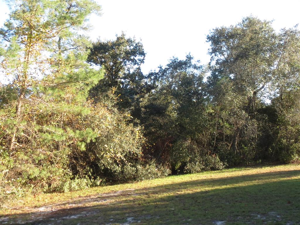 Tbd Southwest 46th Ave Road Ocala, FL 34473 - Photo 1 of 1 a view of a yard