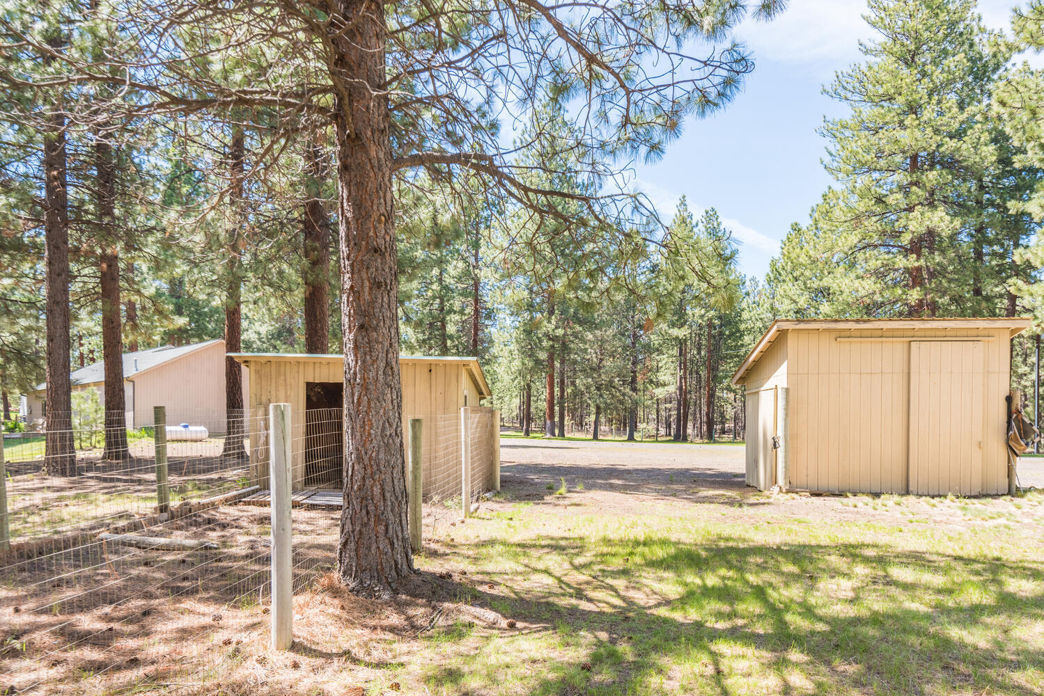 67895 Peterson Burn Road Sisters, OR 97759 - Photo 55 of 63 55 Sheds
