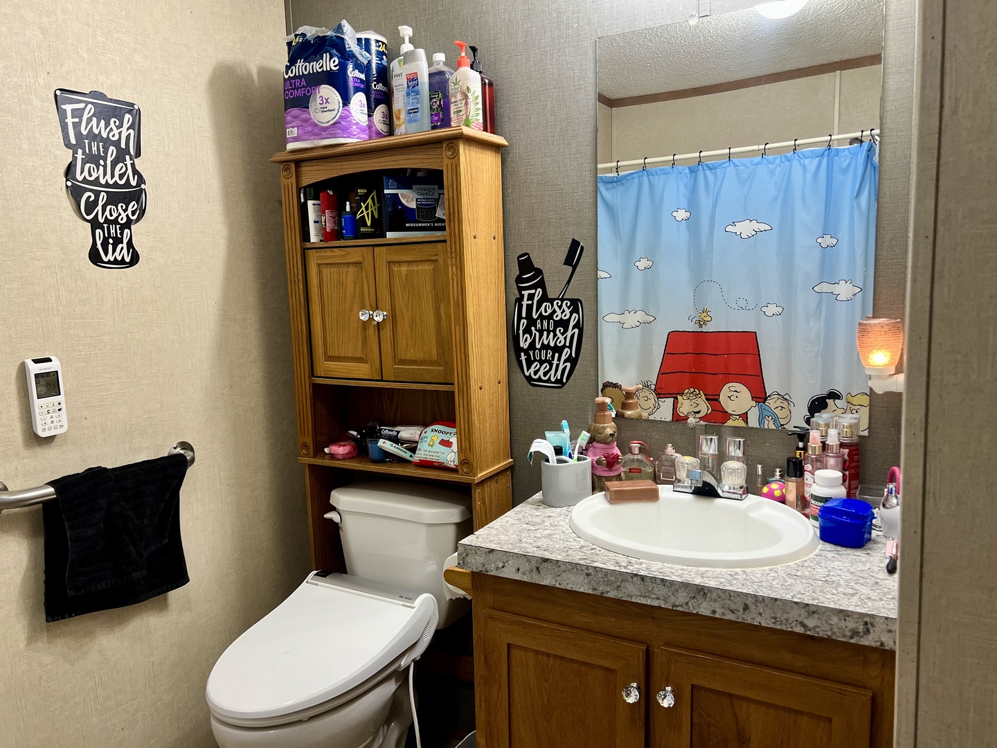 27 Lakeview Road Gays, IL 61928 - Photo 23 of 26 a bathroom with a granite countertop sink a toilet and a mirror
