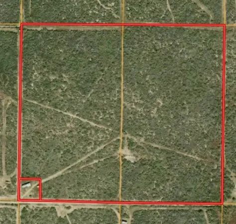 $325,000 | 0 Private Road, San Diego, TX 78384