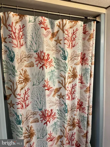 a picture of a window with flower in it