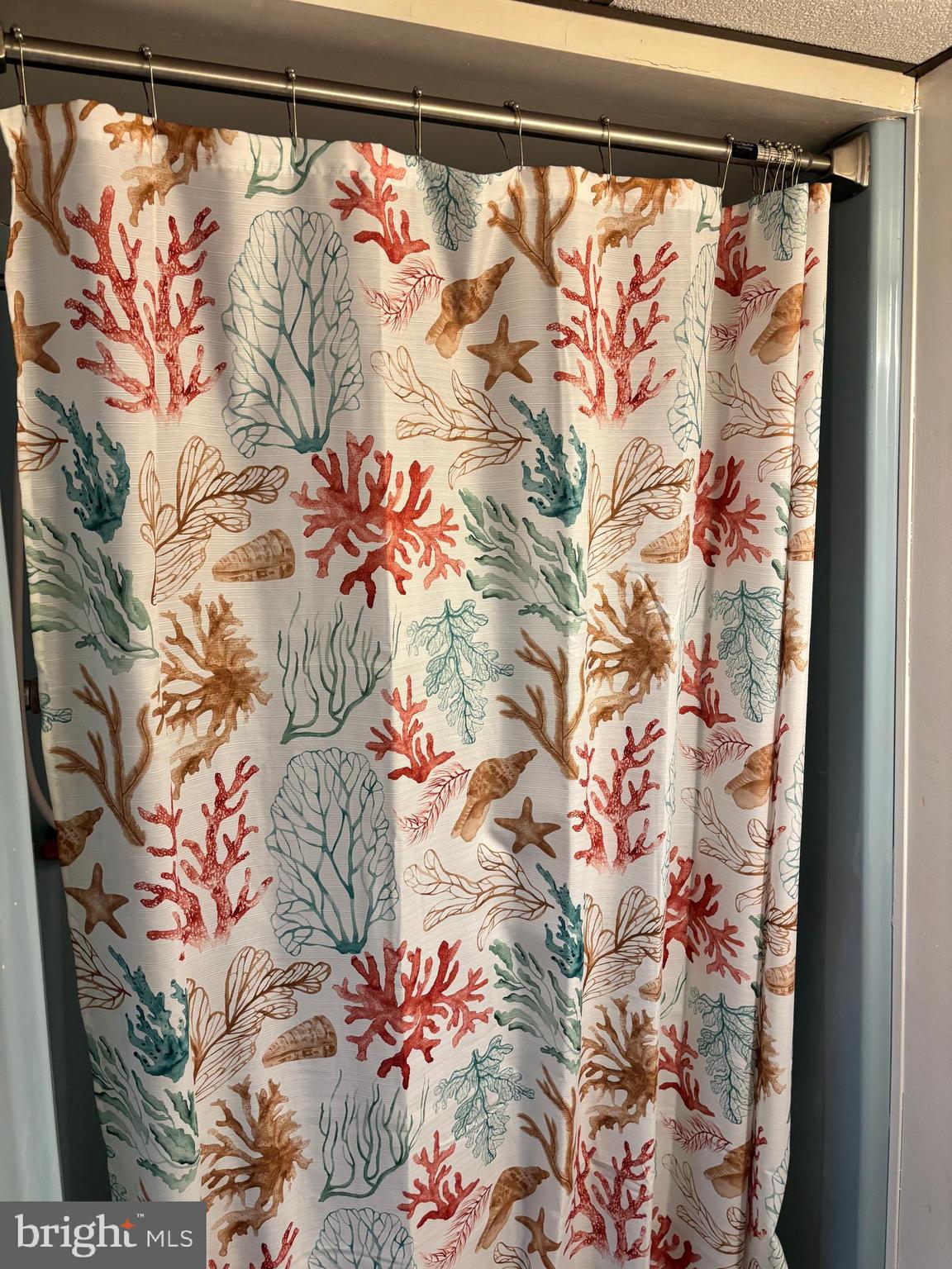 148 Diamond Avenue Pine Hill, NJ 08021 - Photo 15 of 35 a picture of a window with flower in it