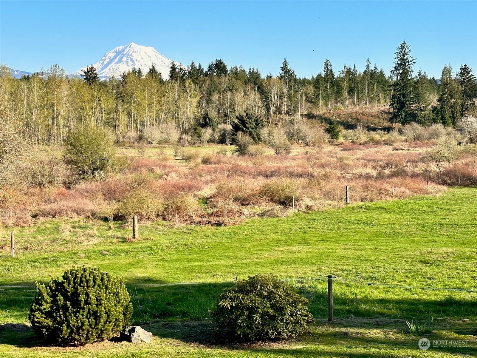 15801 Larson Loss Road Buckley, WA 98321 - Photo 2 of 39 Gallery Image 2