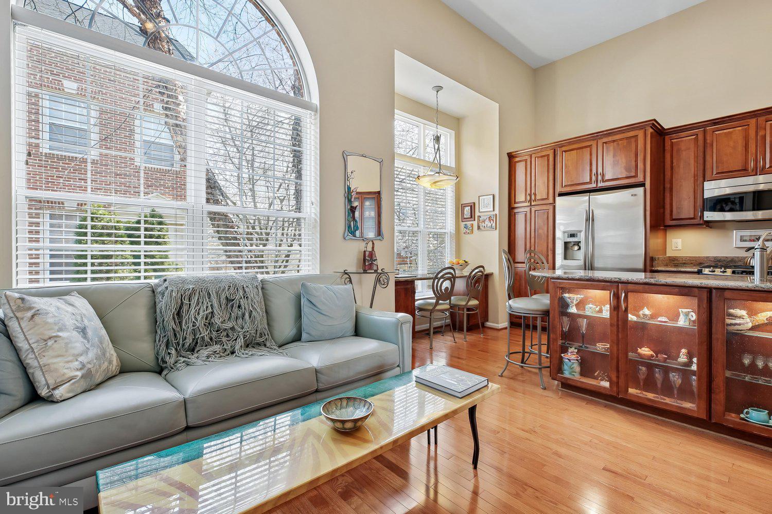 9752 Athletic Way Gaithersburg, MD 20878 - Photo 12 of 47 Family Room