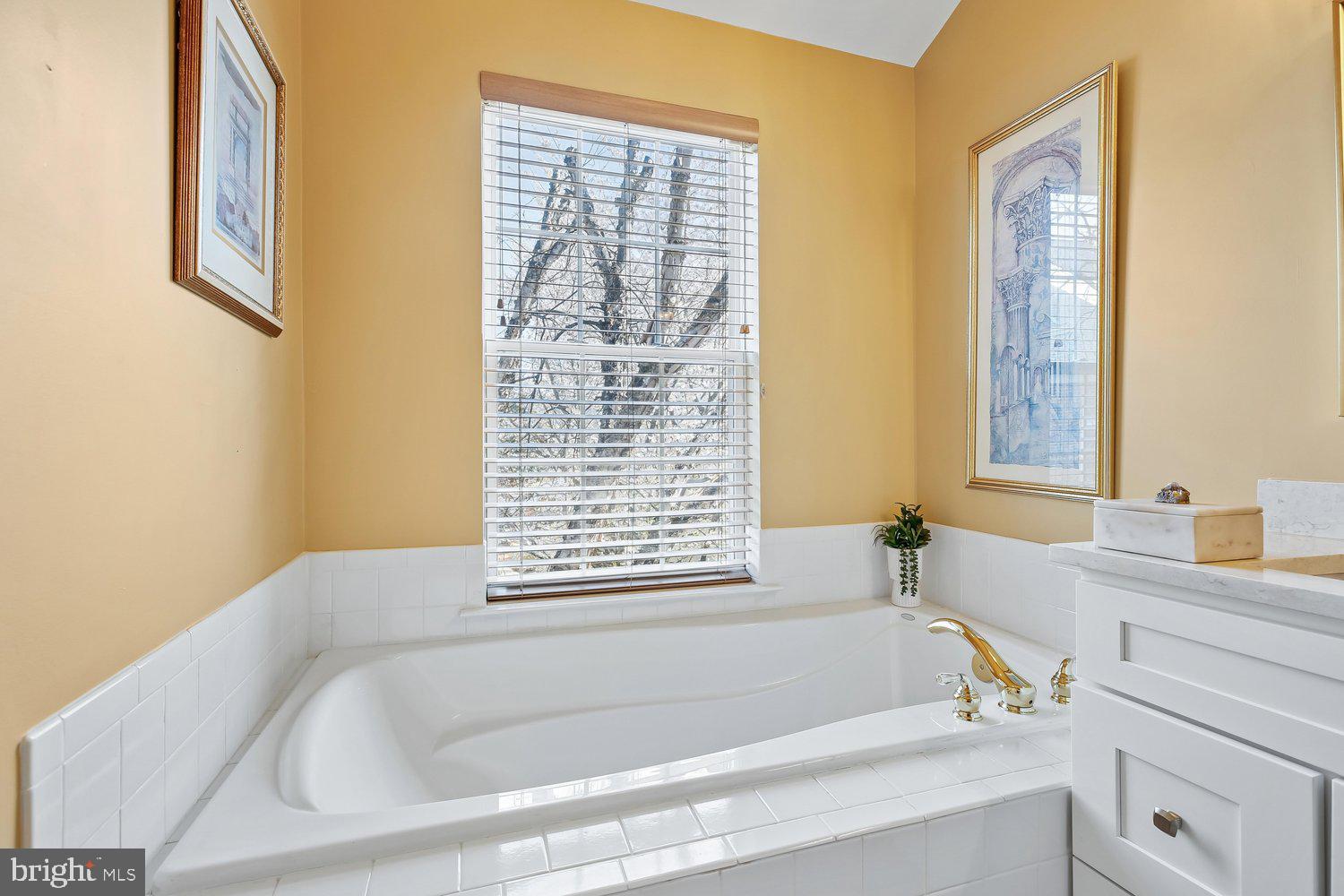 9752 Athletic Way Gaithersburg, MD 20878 - Photo 20 of 47 Primary Bath