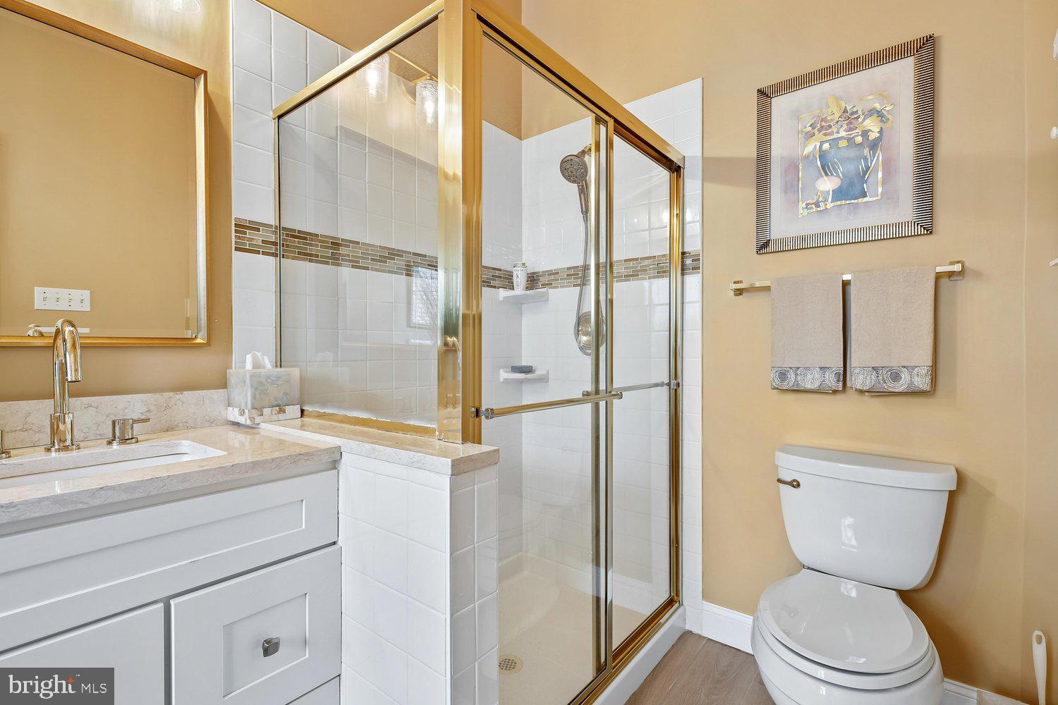 9752 Athletic Way Gaithersburg, MD 20878 - Photo 22 of 47 Primary Bath