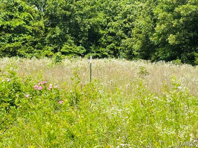 18826 State Rte O Rolla, MO 65401 - Photo 58 of 60