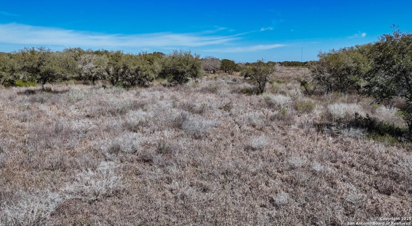 0 Th Beeville, TX 78102 - Photo 4 of 4 a view of a forest with a mountain in the background