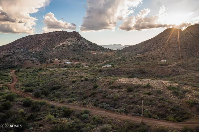 a view of a dry yard