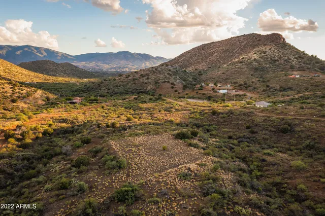 a view of a large tree with mountains in the background