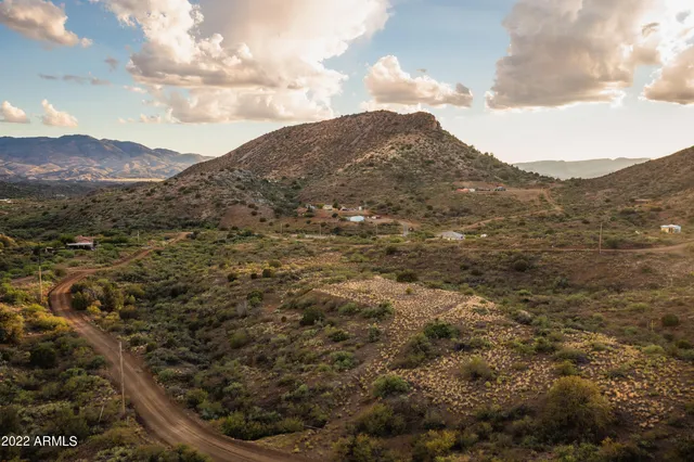 a view of a dry yard