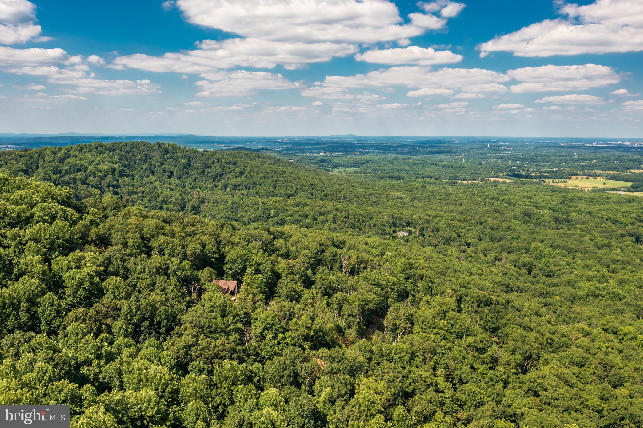 1619 Summit Drive Haymarket, VA 20169 - Photo 61 of 62 a view of a big yard with lots of green space