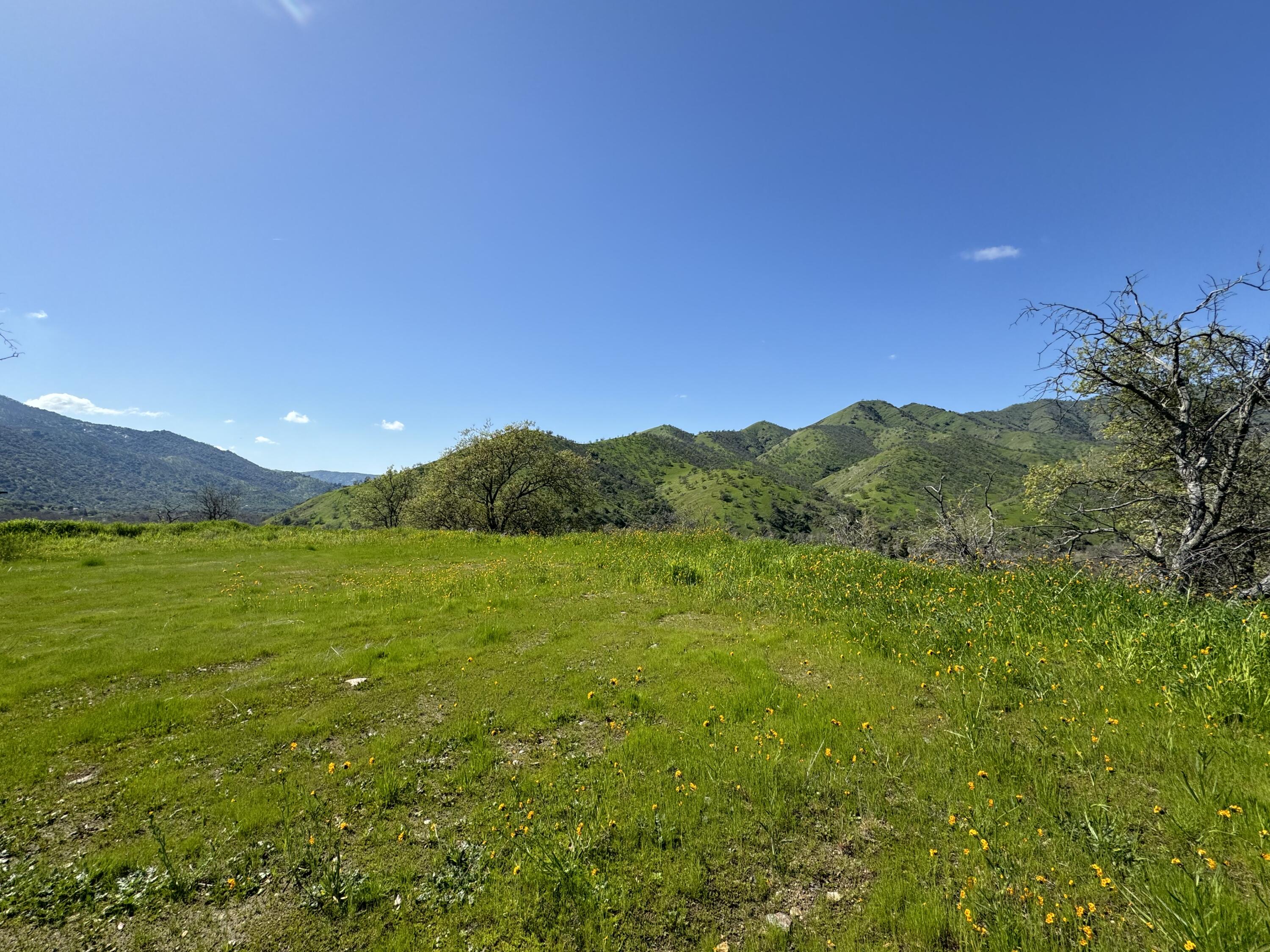 41333 Sierra Drive Three Rivers, CA 93271 - Photo 12 of 42 IMG_0482