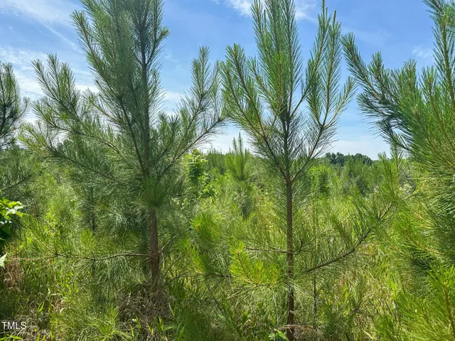 $199,000 | 0 Bonlle Bennett Road, Siler City, NC 27344