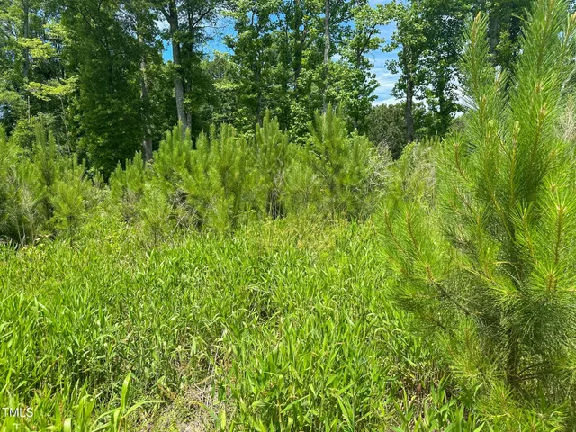 $199,000 | 0 Bonlle Bennett Road, Siler City, NC 27344