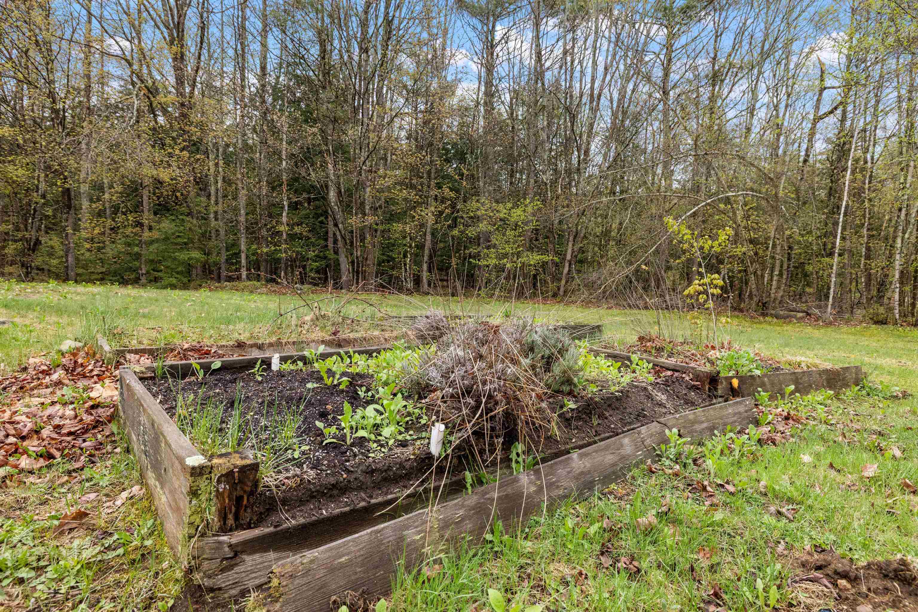 509 Province Road Belmont, NH 03220 - Photo 31 of 34