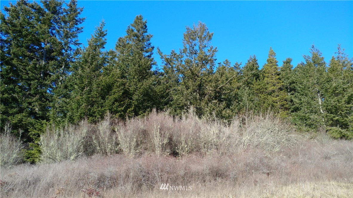 0 Vista Road Lopez Island, WA 98261 - Photo 1 of 2