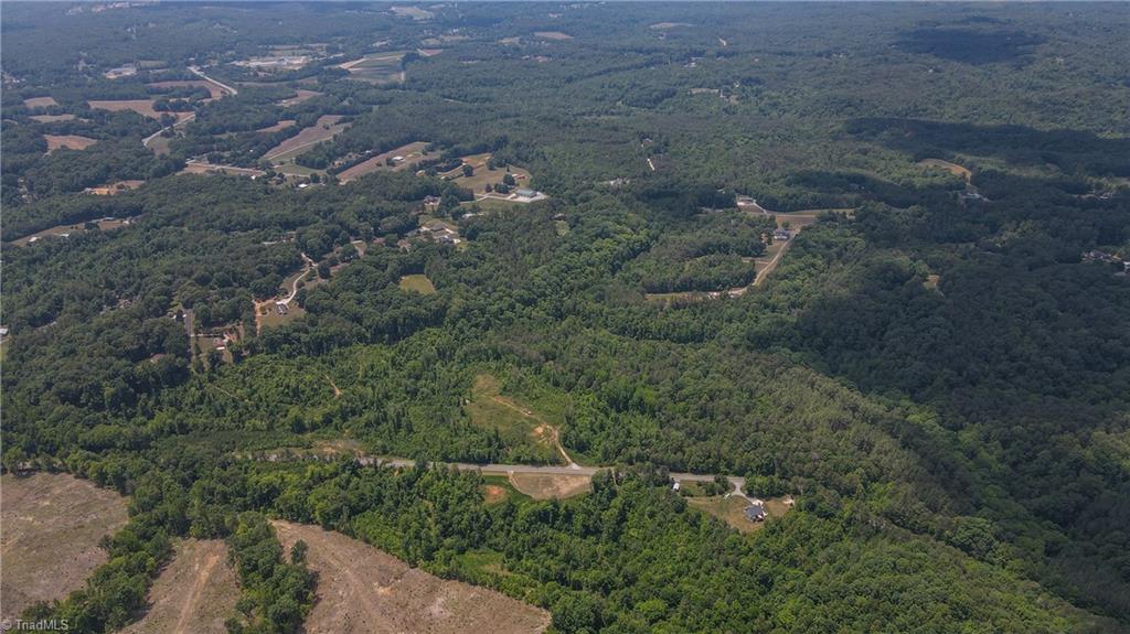 Xx 31.85-ac Xx 31.85-ac Hampton Road Germanton, NC 27019 - Photo 19 of 33