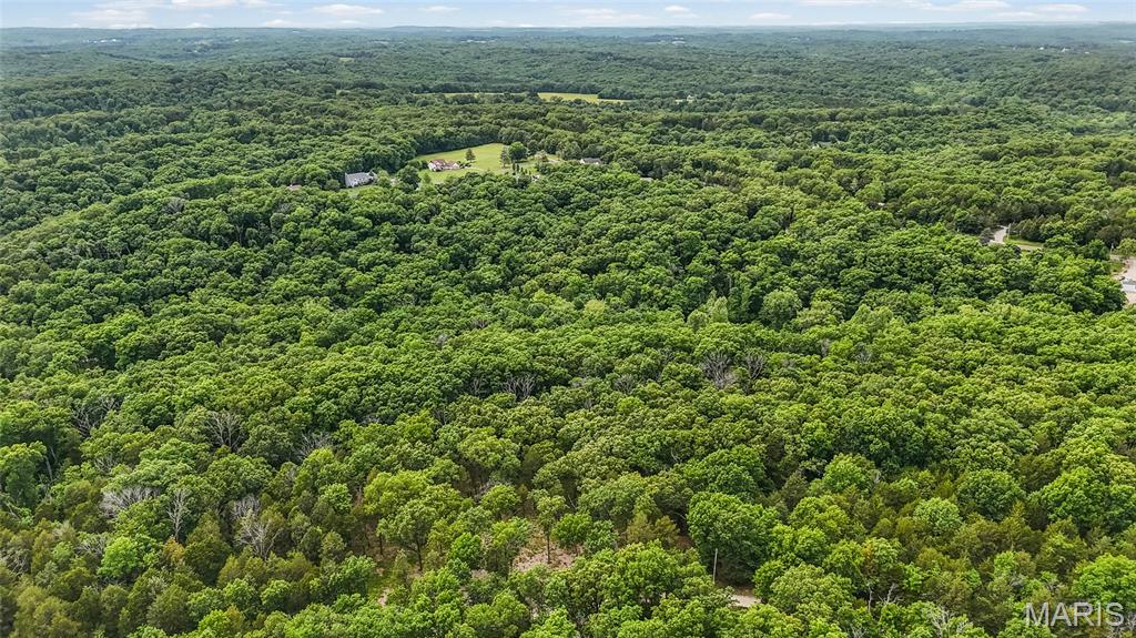 299 Whitetail Ridge Dittmer, MO 63023 - Photo 10 of 19