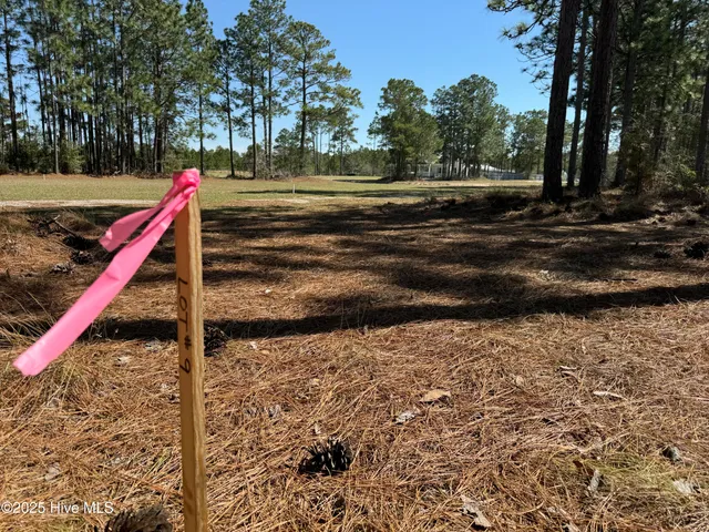 $72,900 | 1435 Green Hill Road Northeast, Leland, NC 28451