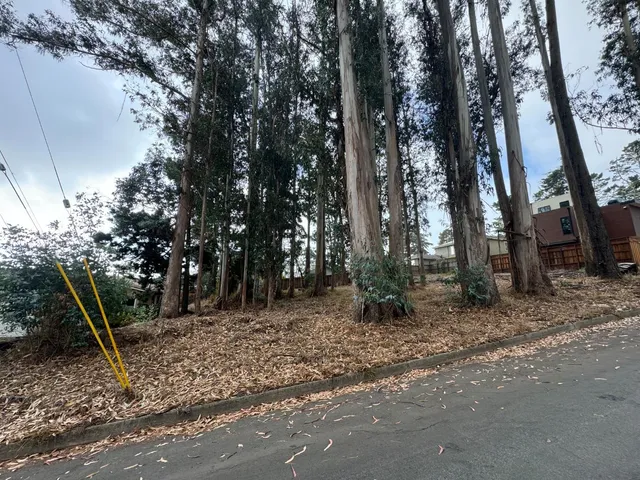 a backyard of a house with lots of green space
