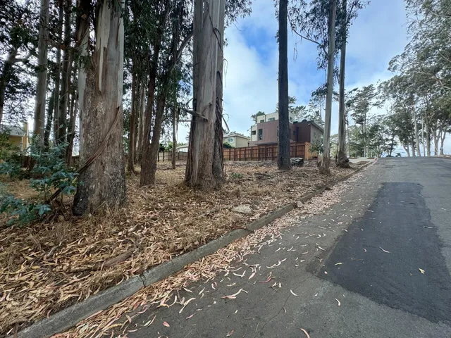 a backyard of a house with lots of green space