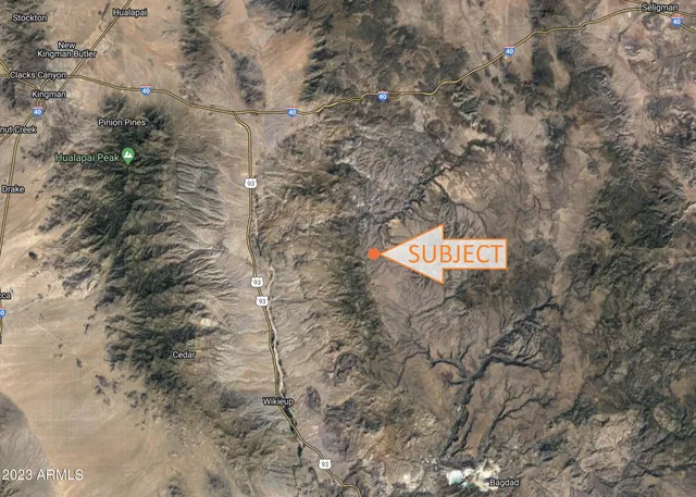 a close up of a plant