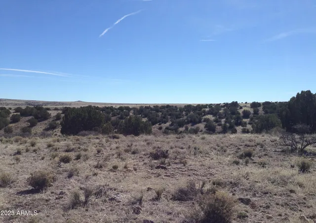 a view of a house with a mountain