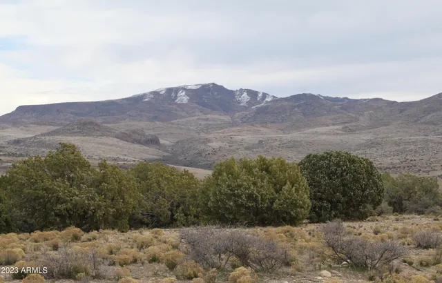 a view of a dry yard with mountains in the background