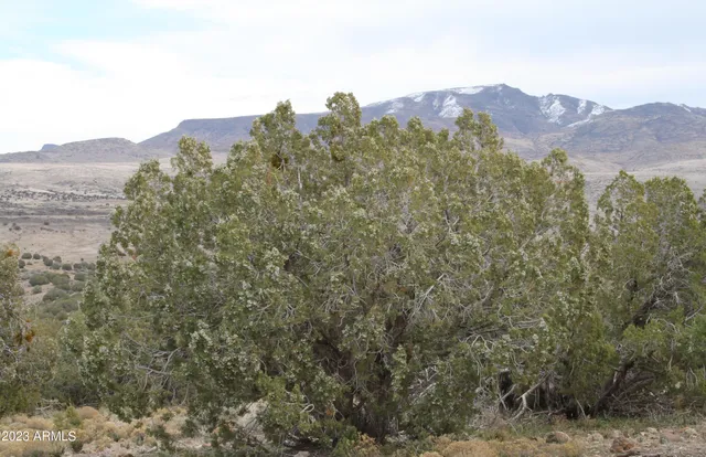 a view of ocean and mountain
