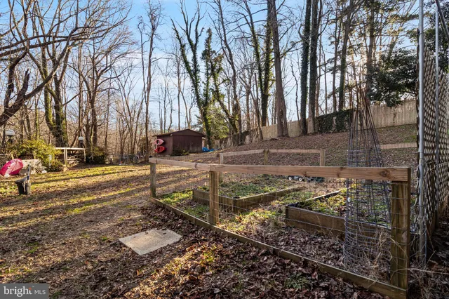 a view of yard with tree in front of it