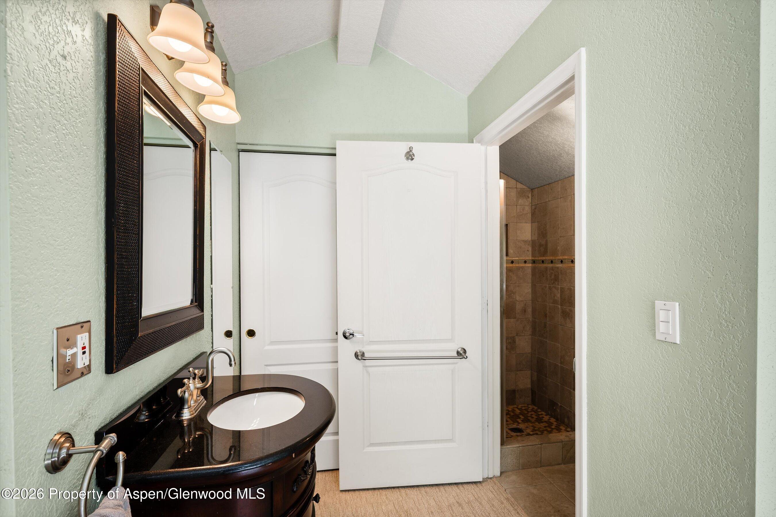 5202 Elk Lane Basalt, CO 81621 - Photo 12 of 22 Loft Bathroom